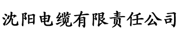 91日韩视频日韩99在线电缆厂logo